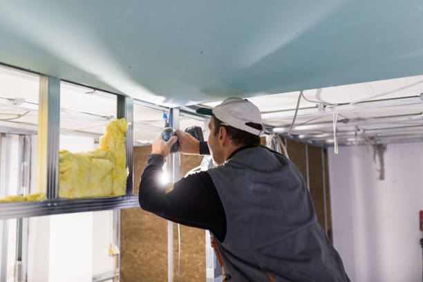 Best Cellulose Insulation  in Goldsby, OK