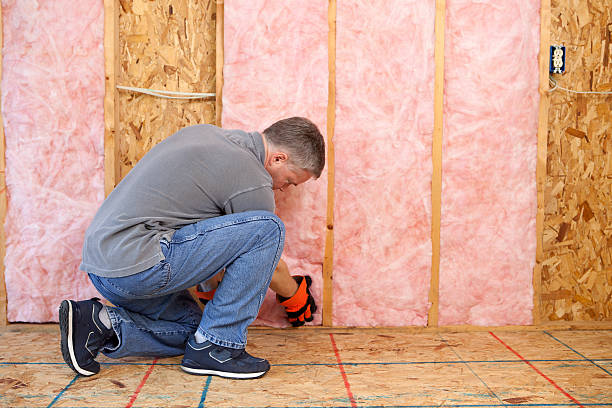 Best Cellulose Insulation  in Goldsby, OK